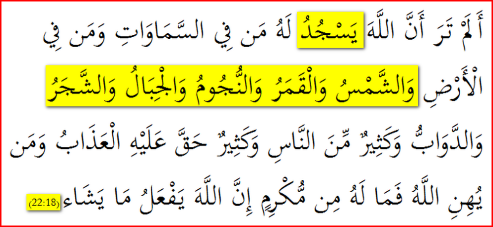 Quran22_18_OnlyVerse