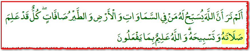 Quran_24_41